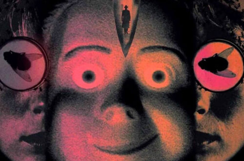 Quattro mosche di velluto grigio